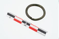 Foto von Bronzering (NHMW-PRAE-026239)